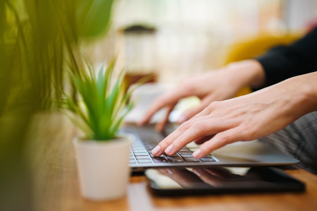 Hands typing on laptop with green plant in plant pot on the desk