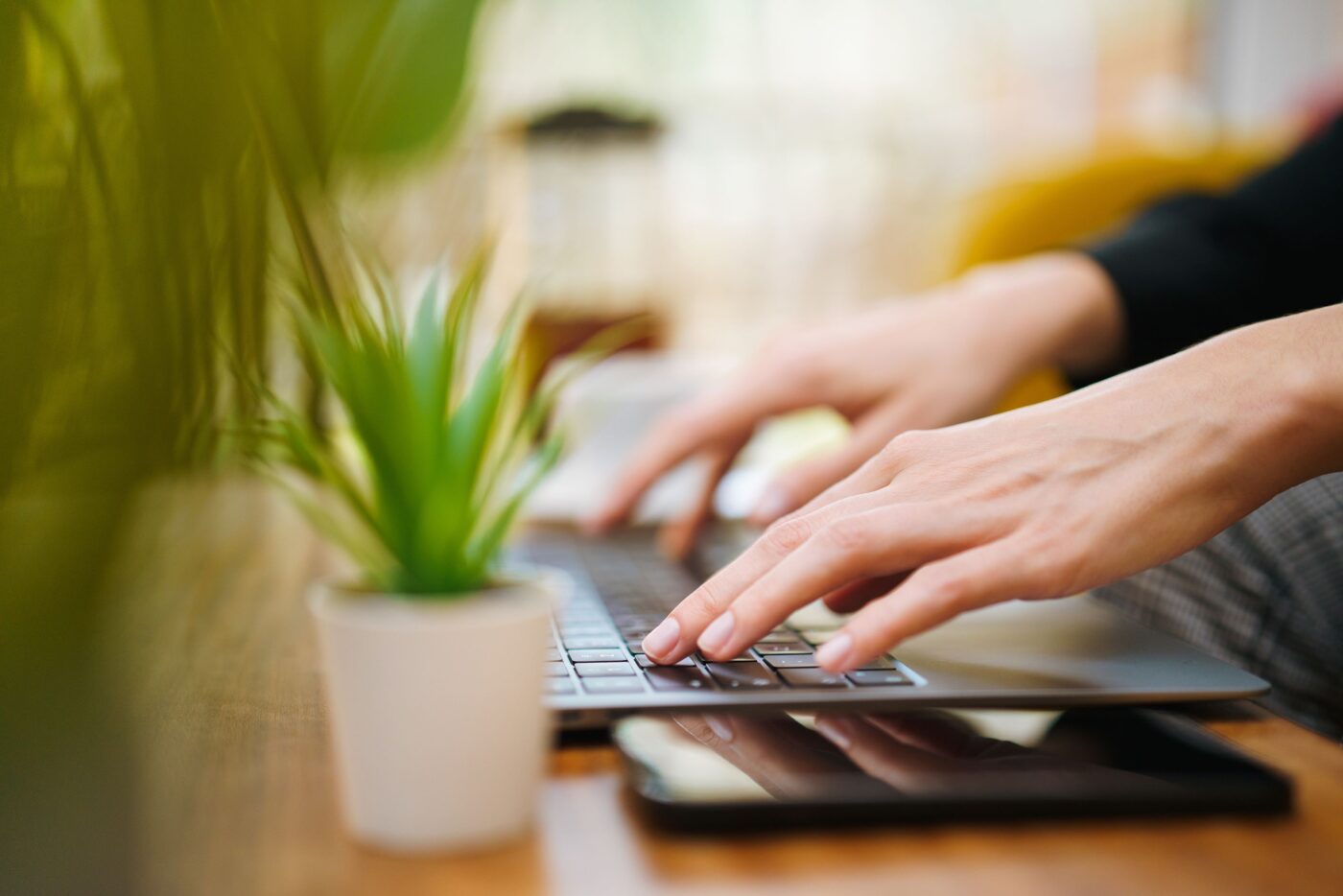 Hands typing on laptop with green plant in plant pot on the desk